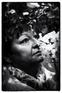 01_I BREVI_Fiori gialli