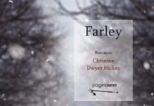 Christine Dwyer Hickey – Farley